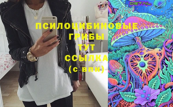 PSILOCYBIN Абинск