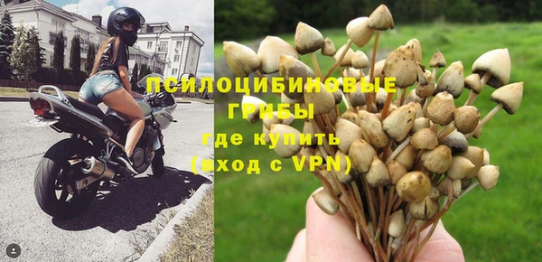 PSILOCYBIN Абинск