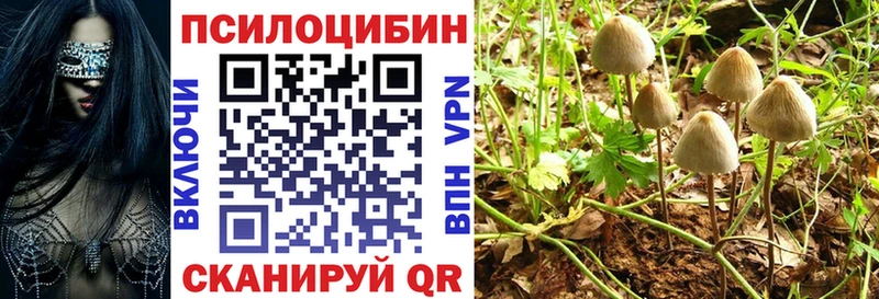 сколько стоит  Сергач  Псилоцибиновые грибы Psilocybe 